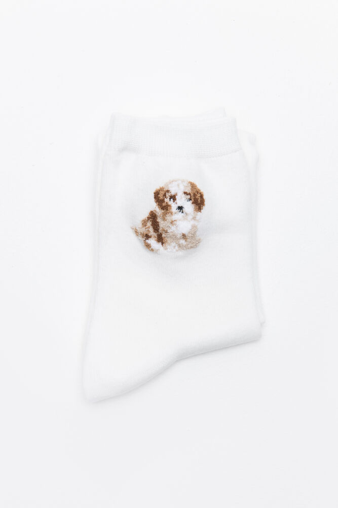 PUPPY -זוג גרביים image number undefined